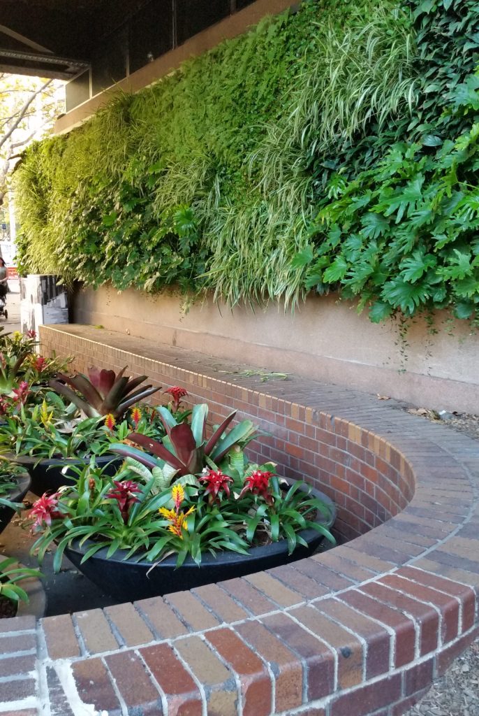 Are Vertical Gardens a Viable Option? 7 Garden-Wall-Sydney